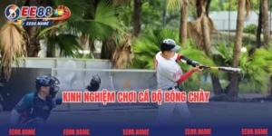Kinh Nghiệm Chơi Cá Độ Bóng Chày - Bí Quyết Không Thể Bỏ Qua