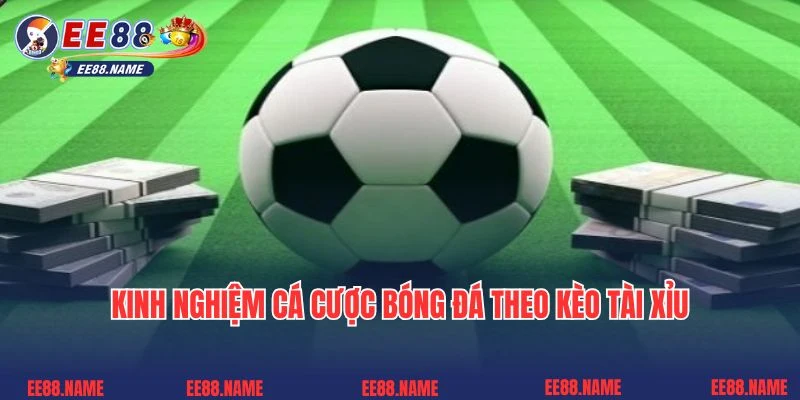 Kinh nghiệm cá cược bóng đá theo kèo tài xỉu