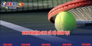 Kinh Nghiệm Chơi Cá Độ Quần Vợt Tại EE88 Đặc Sắc Nhất